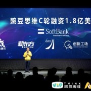 创纪录C轮融资、登顶行业第一品牌......豌豆思维做对了什么？